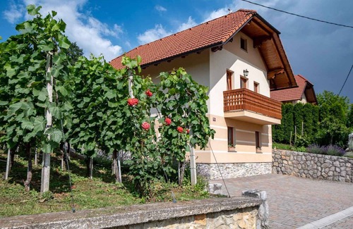 Trebnje House | Holiday home with grill possibility, quiet area