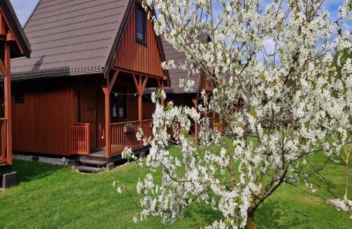 Kolczewo House | Holiday homes with shared pool, Kolczewo