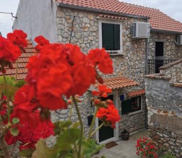 Banj Villa | Holiday house Šokotini dvori