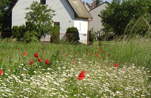 Alsóörs House | Holiday house Alsóörs for 1 - 4 persons with 3 bedrooms - Holiday house