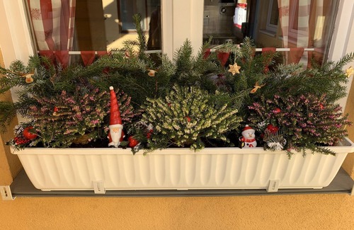 Freibergsdorf House | Holiday house at the Goldbach