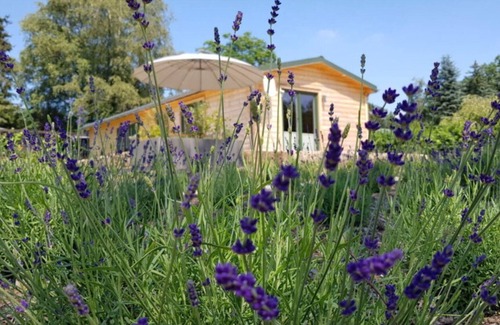 Muecke House | Holiday house Atzenhain for 1 - 4 persons with 2 bedrooms - Holiday home