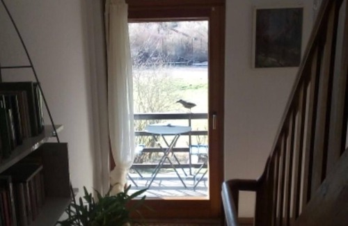 Eulenbis Apartment | Holiday house "Auf der Mooslauter" - Holiday home