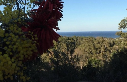 Cervione House | Holiday house Cervione for 1 - 4 persons with 2 bedrooms - Holiday home