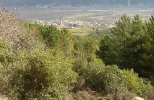 Pieres House | Holiday house Loutra Eleftheron for 2 - 8 persons with 4 bedrooms - Holiday house