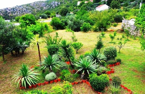 Brsecine House | Holiday house Zdravko - sea view & peaceful nature: - Brsecine, Riviera Dubrovnik, Croatia