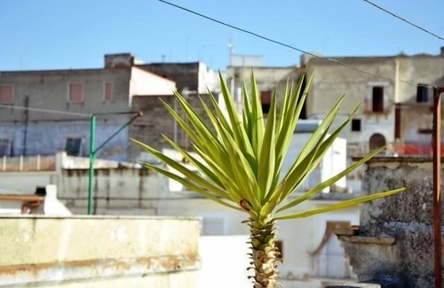 Canosa di Puglia House | Holiday house Canosa di Puglia for 1 - 5 persons with 3 bedrooms - Holiday home