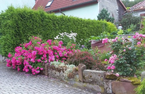 Oberes Feldatal House | Holiday house Klings for 1 - 2 persons - Holiday home
