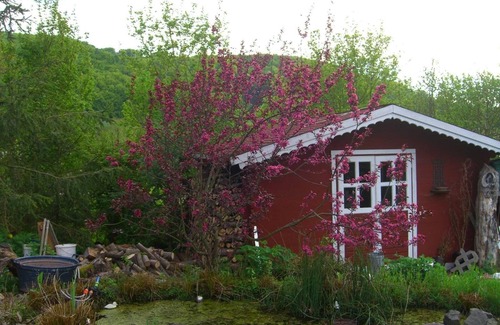 Oberes Feldatal House | Holiday house Klings for 1 - 2 persons - Holiday home