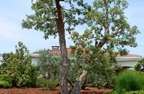 Conversano Villa | Holiday house La civetta Rodonisa