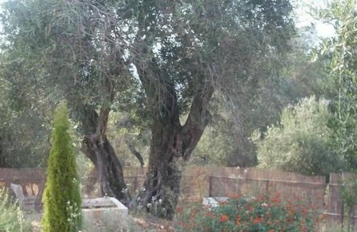 Liapades House | Holiday house Liapades for 1 - 6 persons with 3 bedrooms - Holiday house