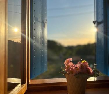 Seget House | Holiday house MARIN DVOR