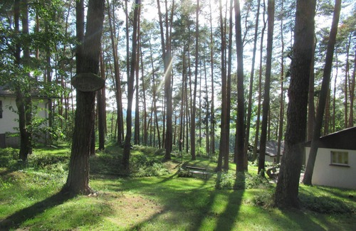 Mengshausen House | Holiday house Niederaula for 1 - 4 persons with 2 bedrooms - Holiday house