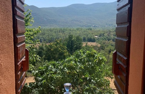 Trn House | Holiday house Ruzici for 1 - 10 persons with 7 bedrooms - Holiday apartment in one or multi-family h