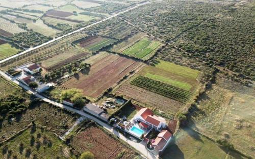 Tinj Villa | Holiday House San Mario - Pets Friendly Rural Home