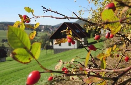 Starkov House | Holiday house Stárkov for 1 - 8 persons - Holiday home