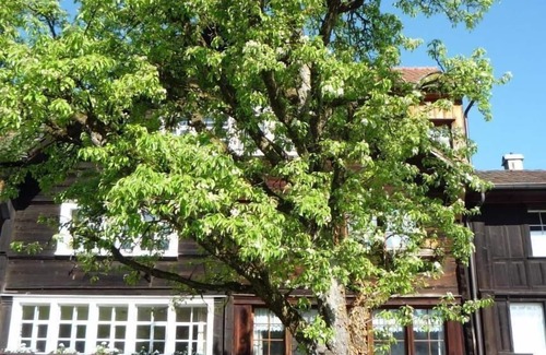 Wienacht-Tobel House | Holiday house Thal for 1 - 6 persons with 3 bedrooms - Holiday home
