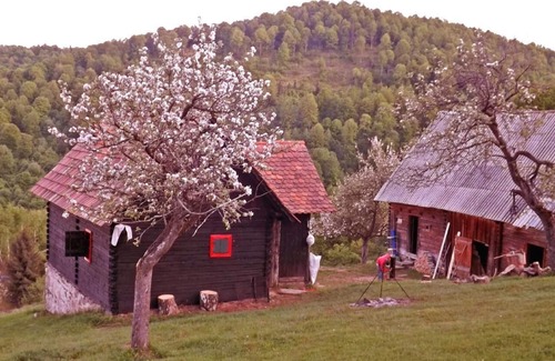 Saliste House | Holiday house Vale for 1 - 4 persons with 1 bedroom - Holiday home