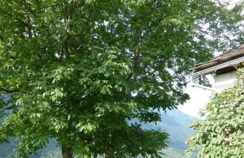 Bregaglia House | Holiday house Vicosoprano for 1 - 4 persons with 2 bedrooms - Holiday home