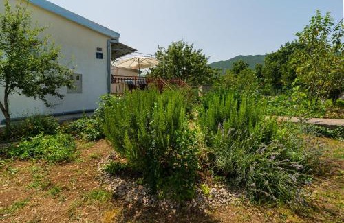 Srijane House | Holiday house with a parking space Srijane, Zagora - 22621