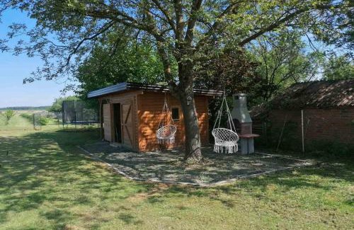 Pleternica House | Holiday house with a parking space Zarilac, Slavonija - 23028