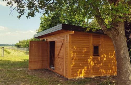 Pleternica House | Holiday house with a parking space Zarilac, Slavonija - 23028