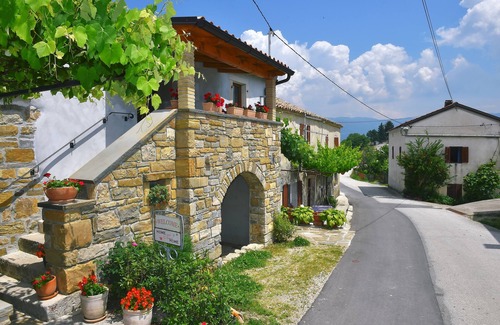 Cerovlje House | Holiday house with WiFi Paz, Central Istria - Središnja Istra (K-16623)