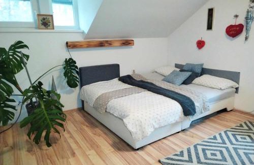 Tisina House | Holiday house Zala
