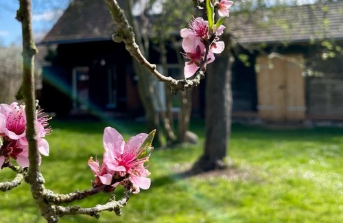 Lehde House | Holiday in Lehde - access to Fliess - idyllic land