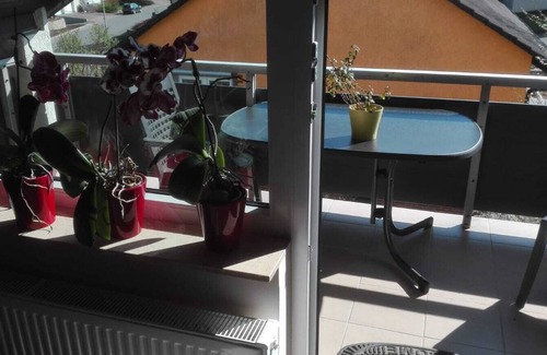 Ahorn Apartment | Holiday in the countryside between building land, Odenwald and Tauber Valley