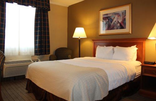 Alexandria Hotel | Holiday Inn Alexandria by IHG
