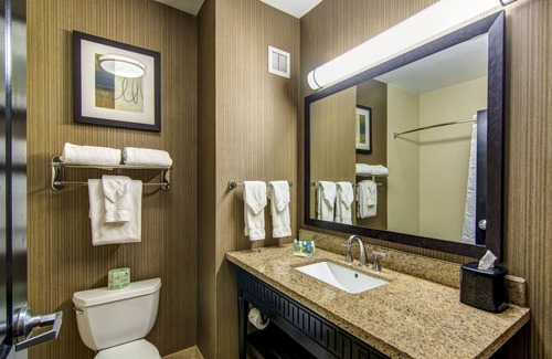 North Arlington Hotel | Holiday Inn Arlington NE-Rangers Ballpark by IHG