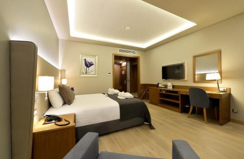 Osmangazi Hotel | Holiday Inn Bursa - City Centre by IHG
