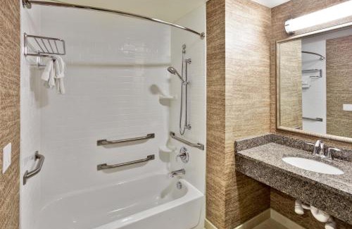 Romulus Hotel | Holiday Inn Detroit Metro Airport by IHG
