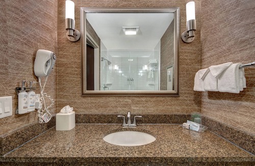 Romulus Hotel | Holiday Inn Detroit Metro Airport by IHG