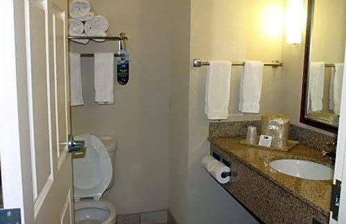 New Iberia Hotel | Holiday Inn Express Hotel & Suites New Iberia - Avery Island, an IHG Hotel