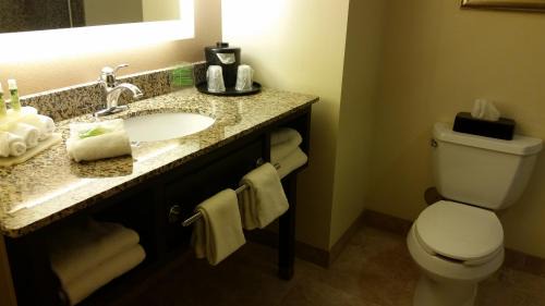 Grant Creek Hotel | Holiday Inn Express and Suites Missoula by IHG