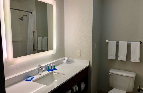 South Arlington Hotel | Holiday Inn Express Arlington by IHG