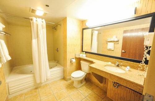 Bowling Green Hotel | Holiday Inn Express Hotel & Suites Bowling Green by IHG