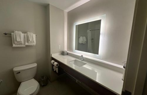 Chesterfield Hotel | Holiday Inn Express Hotel & Suites Chesterfield - Selfridge Area by IHG