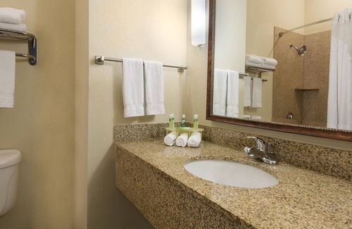 New Iberia Hotel | Holiday Inn Express Hotel & Suites New Iberia - Avery Island by IHG
