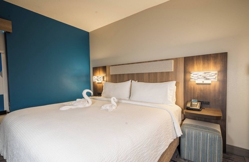 Oldsmar Hotel | Holiday Inn Express Hotel & Suites Tampa Northwest - Oldsmar by IHG