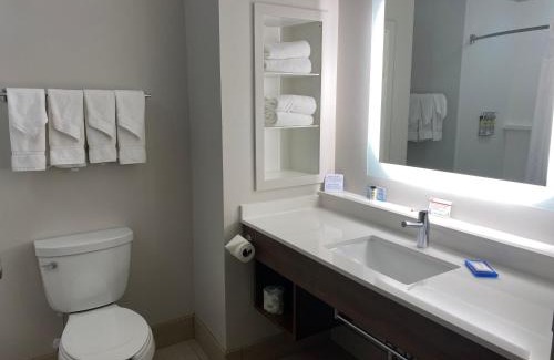 Vestal Hotel | Holiday Inn Express Hotel & Suites Binghamton University-Vestal by IHG