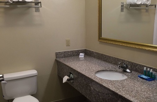 Cadillac Hotel | Holiday Inn Express Hotel & Suites Cadillac by IHG
