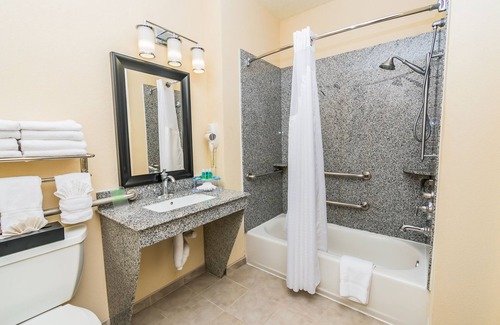 Webster Hotel | Holiday Inn Express Hotel & Suites - Houston Space Center by IHG