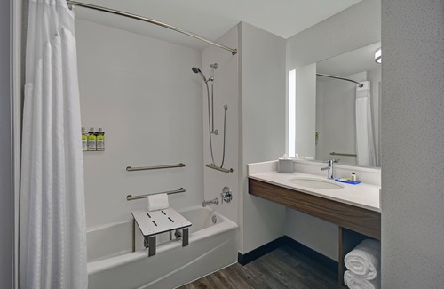 The Galleria Hotel | Holiday Inn Express Houston - Galleria Area by IHG