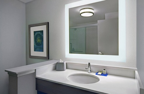 The Galleria Hotel | Holiday Inn Express Houston - Galleria Area by IHG