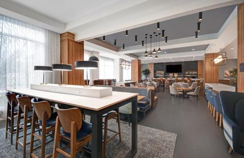 The Galleria Hotel | Holiday Inn Express - Houston - Galleria Area by IHG