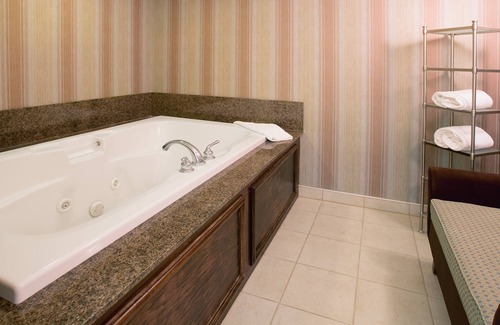 Plainfield Hotel | Holiday Inn Express Indianapolis Airport by IHG