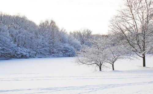 Plainsboro Hotel | Holiday Inn Express Princeton Southeast by IHG